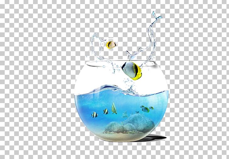 Aquarium Fish Computer File PNG, Clipart, Aquarium, Brand, Butterflyfish, Computer Wallpaper, Decorative Free PNG Download