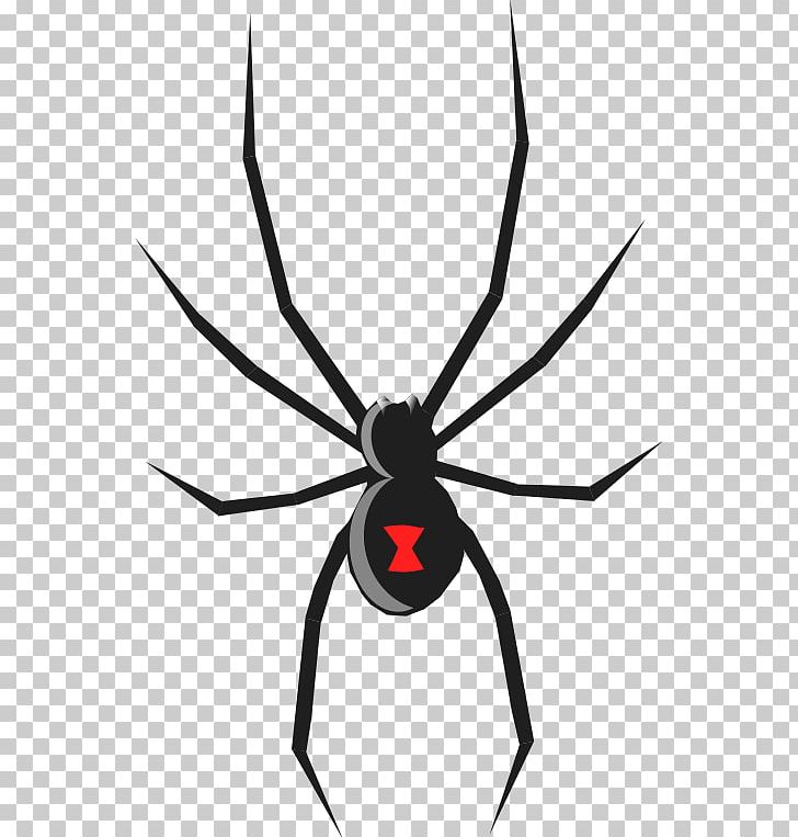 Black Widow PNG, Clipart, Animation, Arachnid, Art, Arthropod, Black And White Free PNG Download
