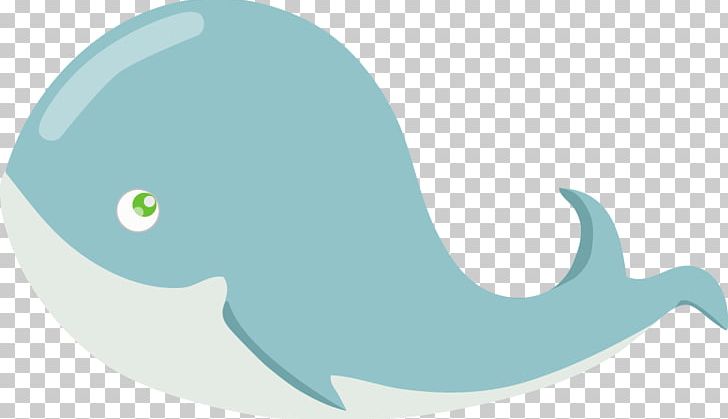 Blue Whale Humpback Whale Killer Whale PNG, Clipart, Animals, Aqua, Beak, Blue Whale, Computer Wallpaper Free PNG Download