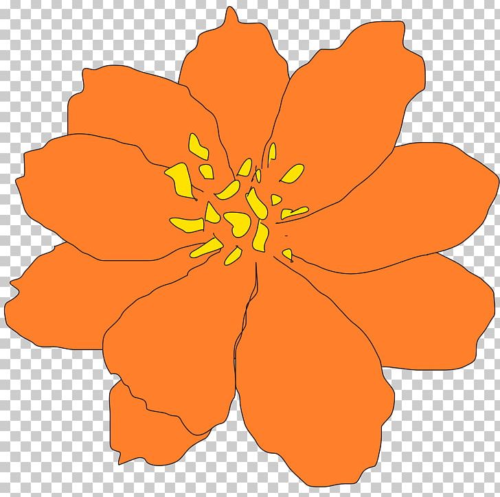 Flower PNG, Clipart, Computer Icons, Cosmos, Drawing, Flora, Floral Design Free PNG Download