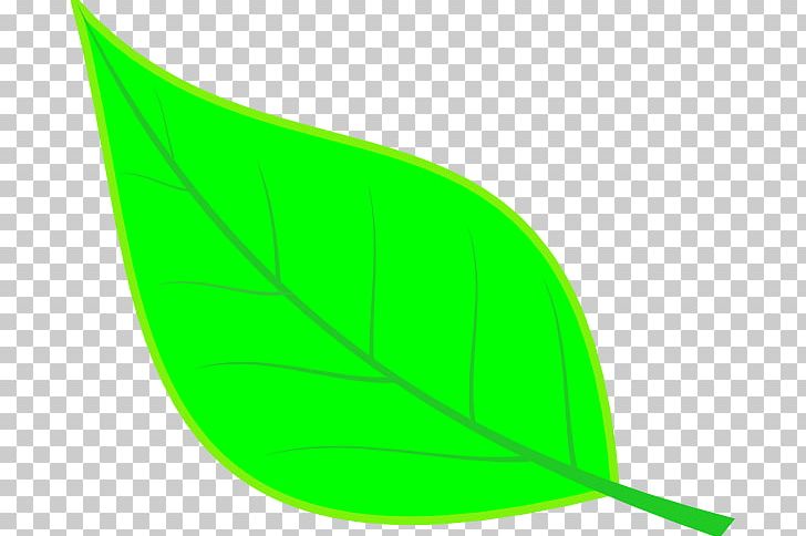 Leaf Line Angle PNG, Clipart, Angle, Art, Clip, Grass, Green Free PNG Download
