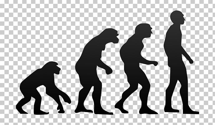 Neanderthal Homo Sapiens Human Evolution Ape PNG, Clipart, Ape, Bipedalism, Charles Darwin, Chimpanzee, Communication Free PNG Download