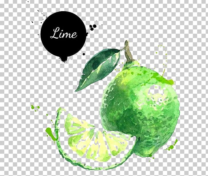 Lemon-lime Drink Lemon-lime Drink Key Lime Illustration PNG, Clipart, Art, Citron, Citrus, Drawing, Food Free PNG Download