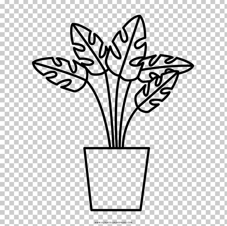 Medicinal Plants Drawing Coloring Book Leaf PNG, Clipart, Aquatic Plants, Artwork, Black And White, Branch, Caf Free PNG Download