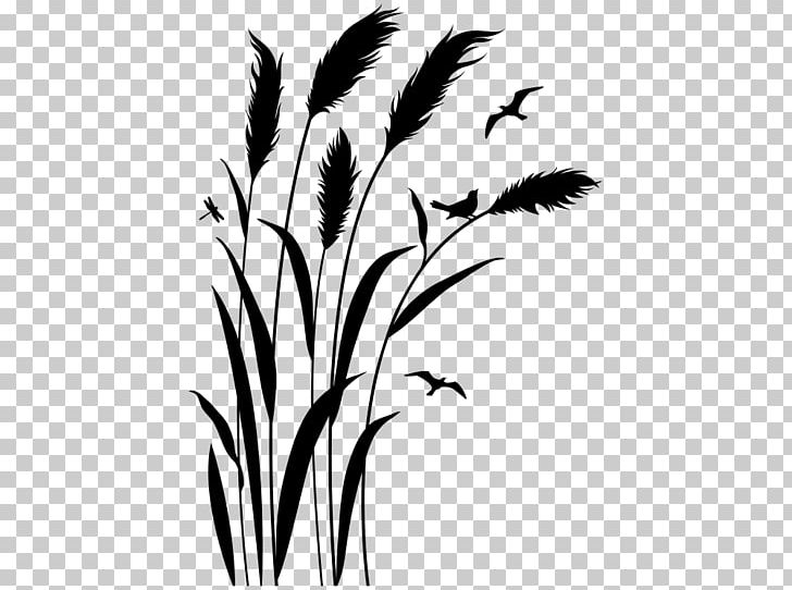 Twig Grasses Plant Stem Leaf Silhouette PNG, Clipart, Black, Black And White, Black M, Branch, Commodity Free PNG Download