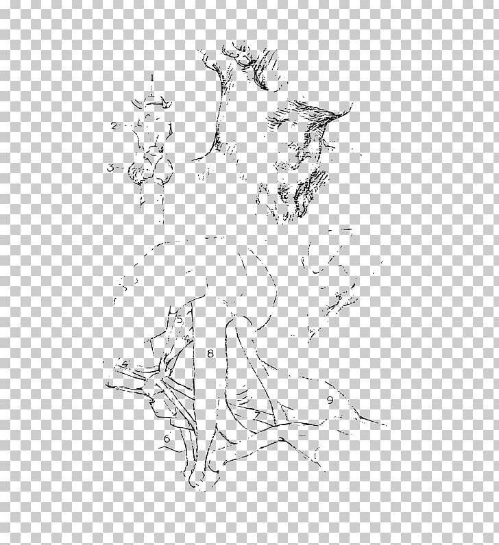 Visual Arts Drawing Line Art Sketch PNG, Clipart, Anatomy, Anatomy Drawing, Area, Arm, Black And White Free PNG Download
