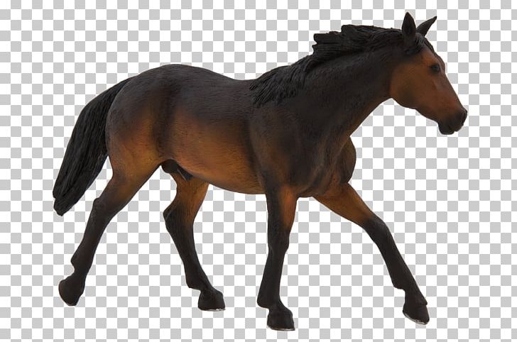 American Quarter Horse Stallion Shire Horse Appaloosa Clydesdale Horse PNG, Clipart, American Quarter Horse, Animal, Animal Figure, Animal Planet, Appaloosa Free PNG Download