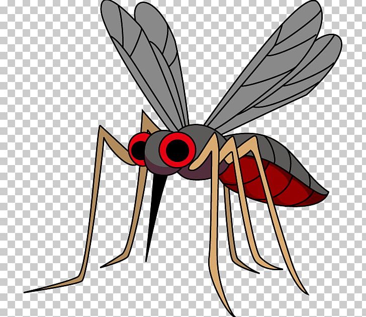 Mosquito Dengue 虫 Disease West Nile Fever PNG, Clipart, Aedes Albopictus, Arthropod, Dengue, Dengue Virus, Disease Free PNG Download