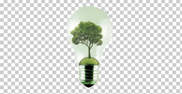 Product Design Green PNG, Clipart, Green, Green Energy, Others Free PNG Download