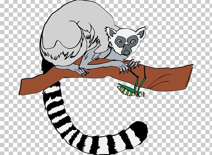 Ring-tailed Lemur Free Content PNG, Clipart, Blog, Carnivoran, Cartoon, Cat, Cat Like Mammal Free PNG Download