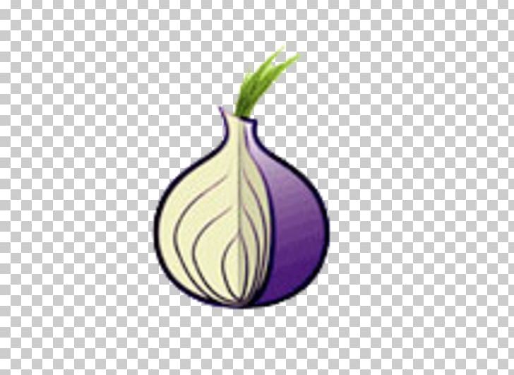 Tor .onion Onion Routing Web Browser Internet PNG, Clipart, Anonymity, Anonymous Web Browsing, Browser, Computer Network, Dark Web Free PNG Download