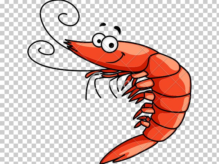 Drawing Shrimp PNG, Clipart, Animals, Art, Artwork, Can Stock Photo, Cartoon Free PNG Download