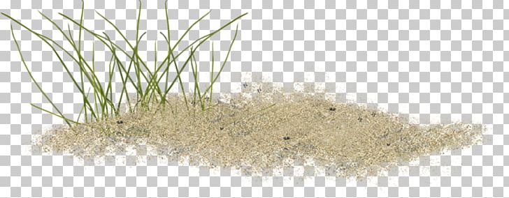 Sand PNG, Clipart, Ammophila, Beach, Commodity, Computer Software, Depositfiles Free PNG Download