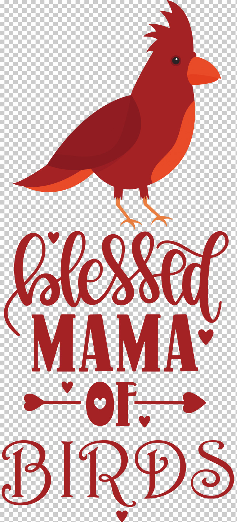 Bird Birds Blessed Mama Of Birds PNG, Clipart, Beak, Biology, Bird, Birds, Meter Free PNG Download