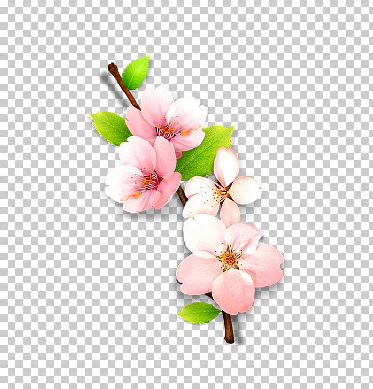 Computer File PNG, Clipart, Blossom, Branch, Cherry Blossom, Computer Graphics, Cut Flowers Free PNG Download
