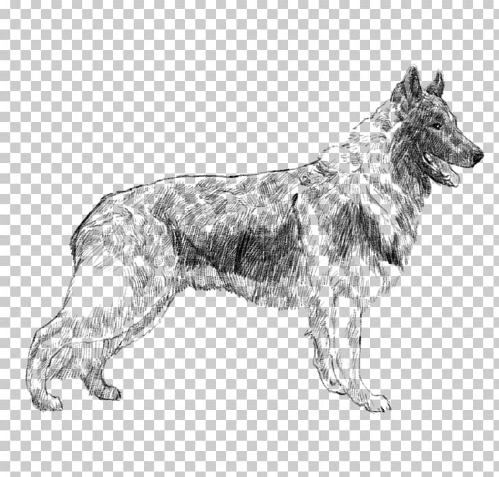 German Shepherd Kunming Wolfdog Tervuren Shiloh Shepherd Dog Dog Breed PNG, Clipart, Ancestor, Black And White, Breed, Carnivoran, Cousin Free PNG Download