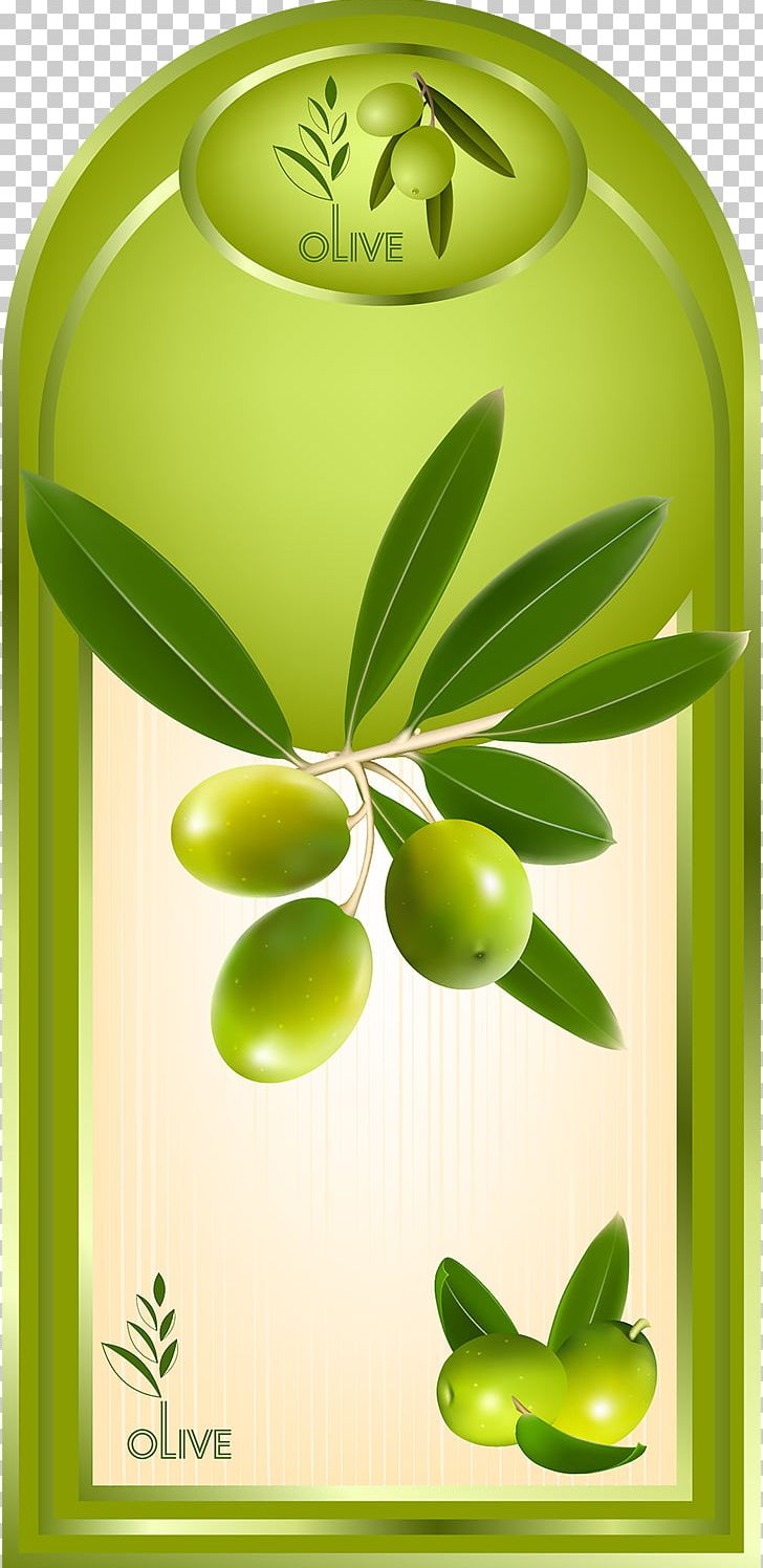 Olive Oil Label Fruit PNG, Clipart, Bottle, Cooking Oil, Cooking Oils, Cream, Food Free PNG Download