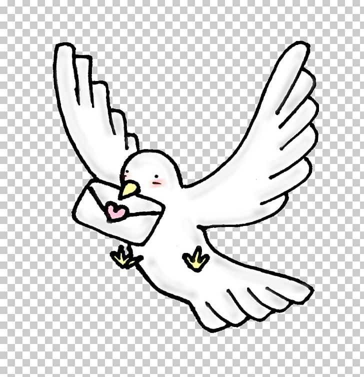Typical Pigeons Illustration Homing Pigeon Drawing PNG, Clipart, Angle, Area, Art, Artwork, Beak Free PNG Download