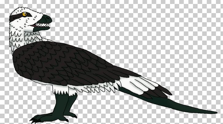 Vulture Water Bird Beak Fauna PNG, Clipart, Animal, Animal Figure, Beak, Bird, Bird Of Prey Free PNG Download