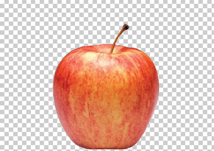 McIntosh Red Apple Pie Gala Fuji PNG, Clipart, Apple, Apple Pie, Dried Fruit, Empire Apples, Food Free PNG Download