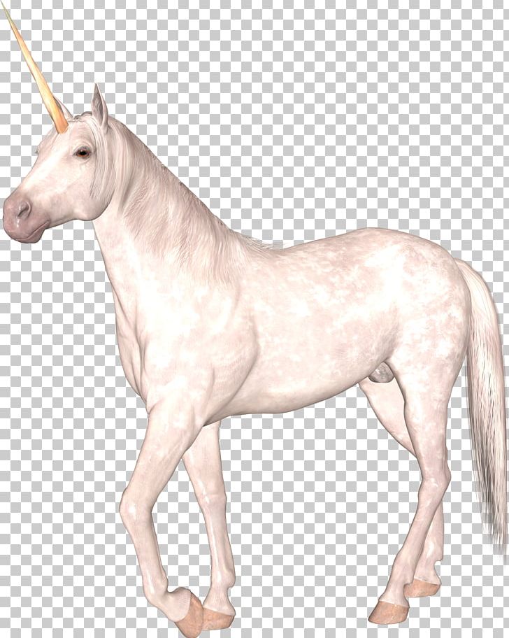 Unicorn PNG, Clipart, Unicorn Free PNG Download