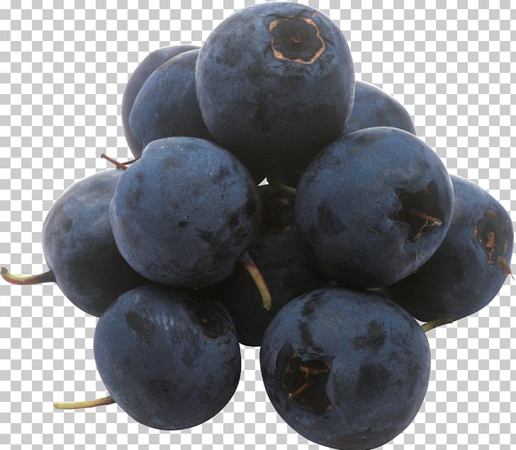 European Blueberry Fruit Frutti Di Bosco PNG, Clipart, Auglis, Berry, Bilberry, Blackberry, Blueberries Free PNG Download