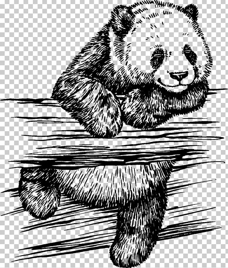 Giant Panda Drawing Photography Illustration PNG, Clipart, Animals, Black And White, Carnivoran, Cartoon, Cartoon Panda Free PNG Download