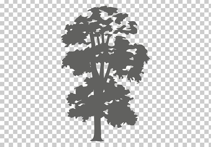 Silhouette PNG, Clipart, Animals, Black, Black And White, Branch, Encapsulated Postscript Free PNG Download