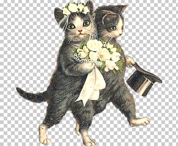 Wedding Invitation Norwegian Forest Cat Kitten Save The Date PNG, Clipart, Animals, Black Cat, Bride, Bridegroom, Bridesmaid Free PNG Download