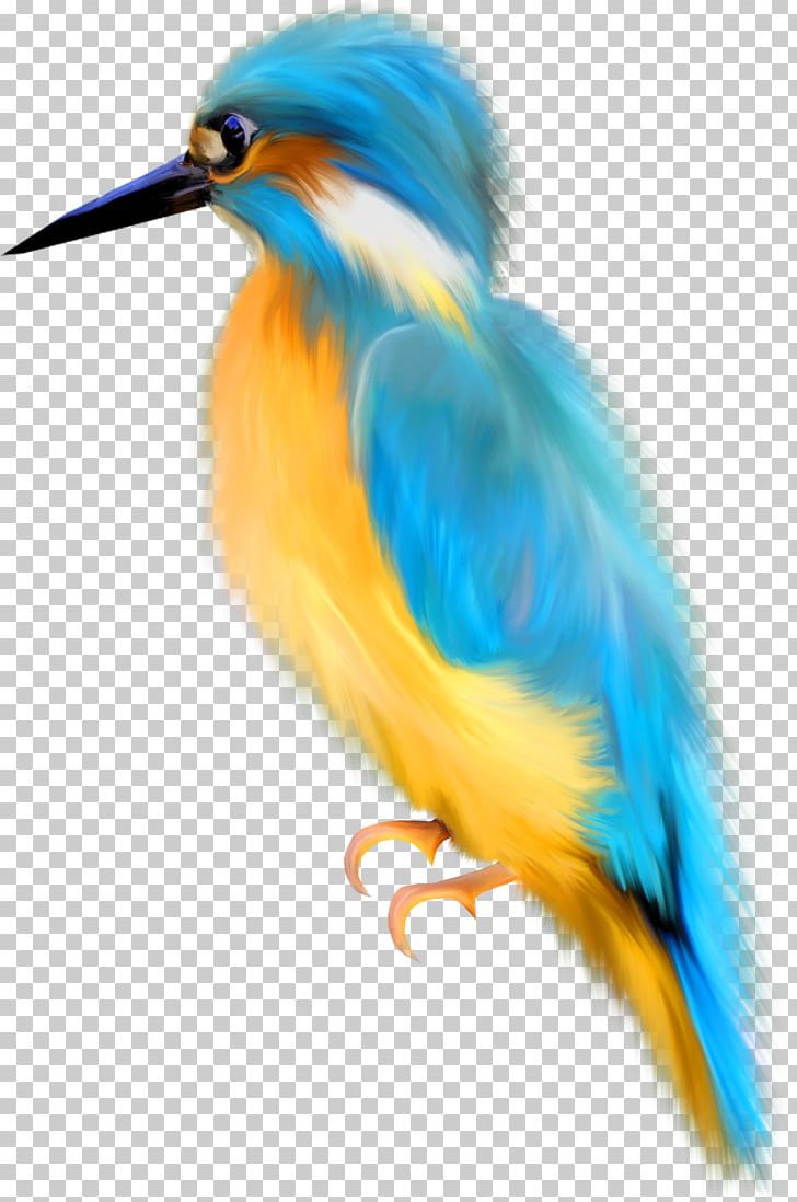 Bird Watercolor Painting Drawing PNG, Clipart, Animals, Beak, Bird, Bluebird, Document Free PNG Download