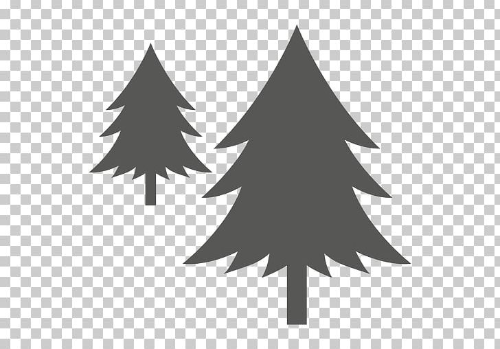 Computer Icons Pine Tree PNG, Clipart, Angle, Black And White, Christmas Decoration, Christmas Ornament, Christmas Tree Free PNG Download