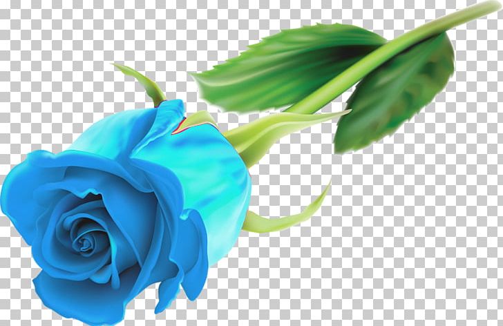 Rose Flower Desktop PNG, Clipart, Blue, Blue Rose, Bud, Cut Flowers, Desktop Wallpaper Free PNG Download