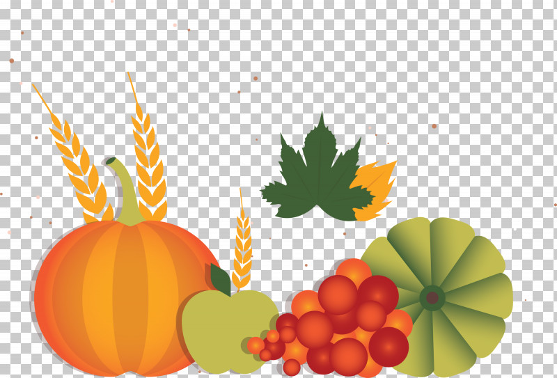 Vegetable Harvest Autumn PNG, Clipart, Autumn, Calabaza, Computer, Hahn Hotels Of Sulphur Springs Llc, Harvest Free PNG Download