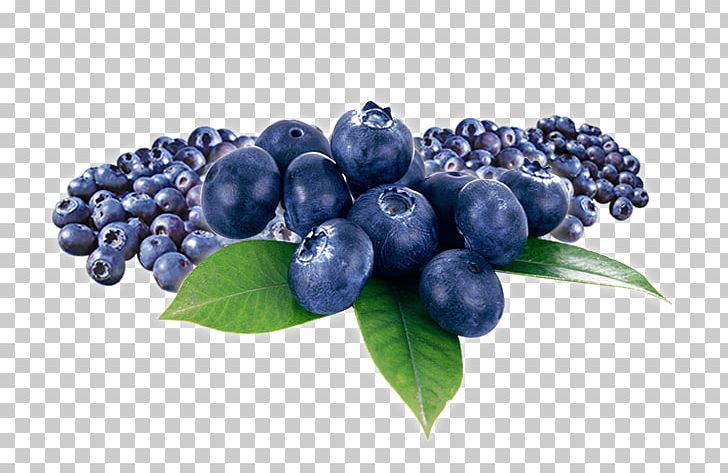 Blueberry Tea Bilberry Huckleberry Fruit PNG, Clipart, Aristotelia Chilensis, Berry, Bilberry, Blueberry, Blueberry Tea Free PNG Download