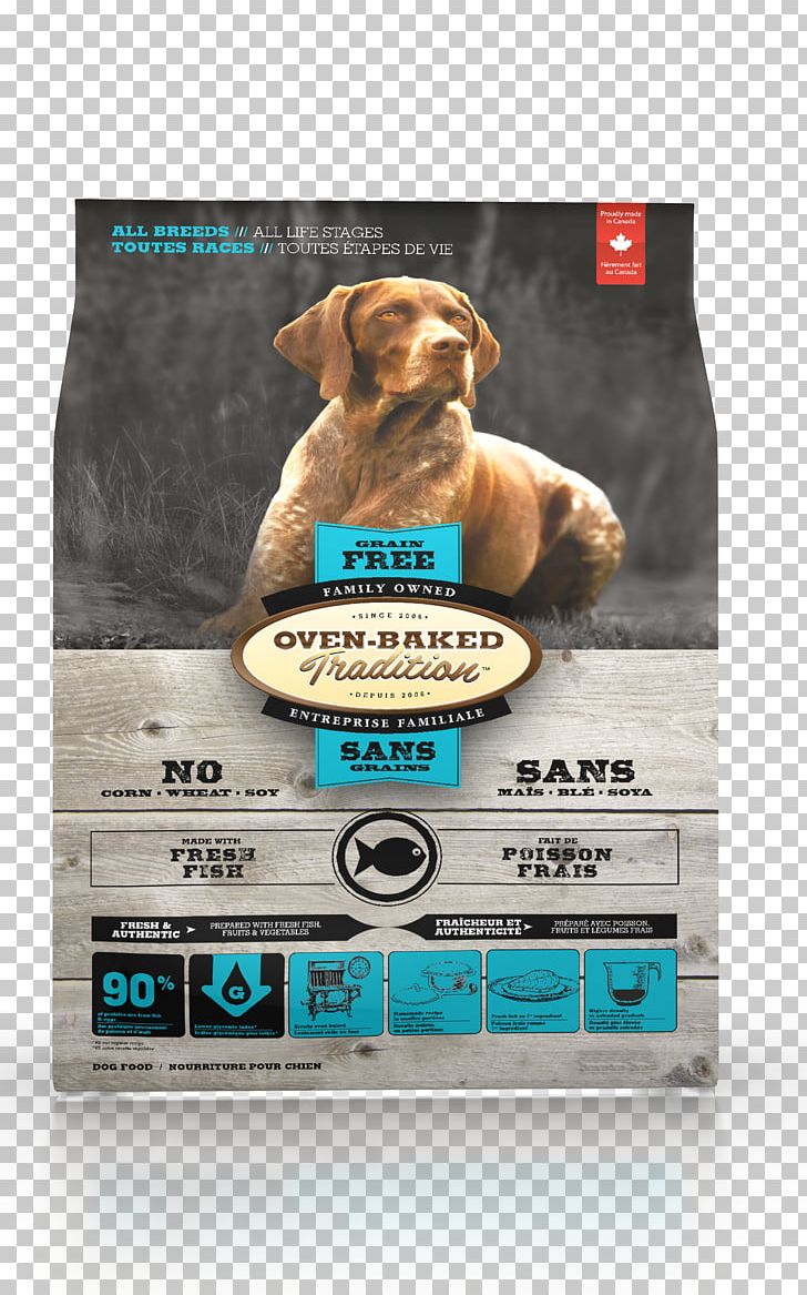 Dog Food Cereal Cat PNG, Clipart, Animals, Baking, Breed, Cat, Cat Food Free PNG Download
