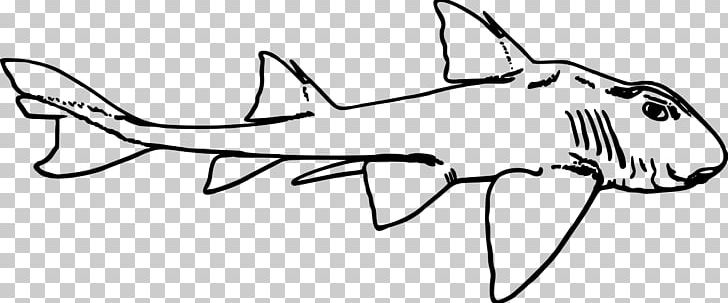 Port Jackson Shark PNG, Clipart, Animals, Arm, Artwork, Black And White, Computer Icons Free PNG Download