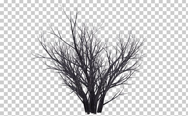 Twig Shrub Winter Stock Photography PNG, Clipart, 3 D Render, 3d Computer Graphics, 3d Rendering, Black And White, Branch Free PNG Download