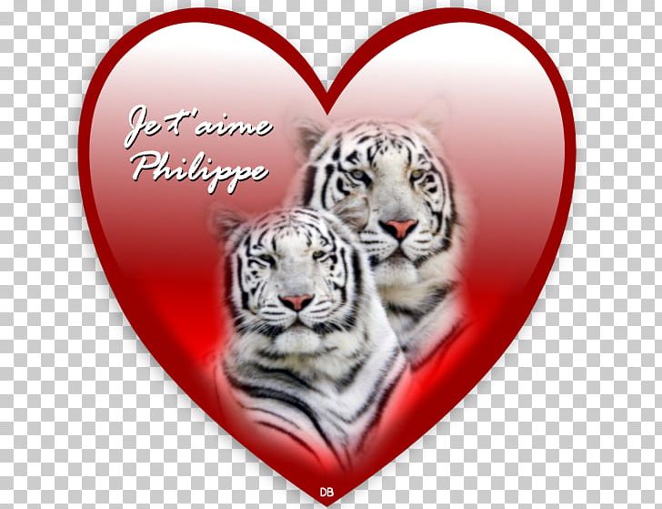 White Tiger Bengal Tiger Desktop Siberian Tiger Felidae PNG, Clipart, Animal, Bengal Tiger, Big Cat, Big Cats, Carnivoran Free PNG Download