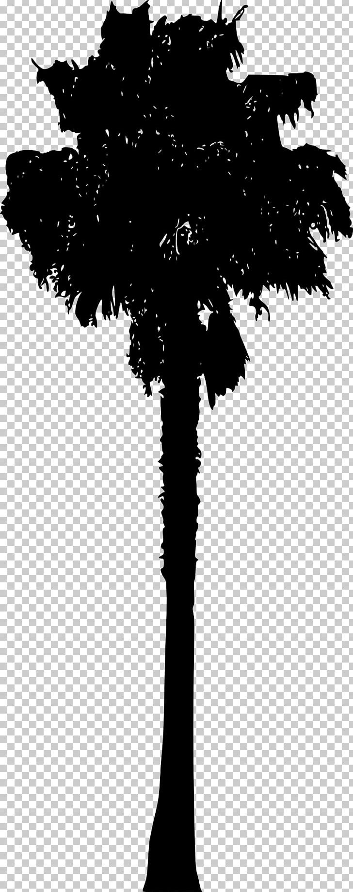 Arecaceae Silhouette PNG, Clipart, Animals, Arecaceae, Black And White, Branch, Flowering Plant Free PNG Download