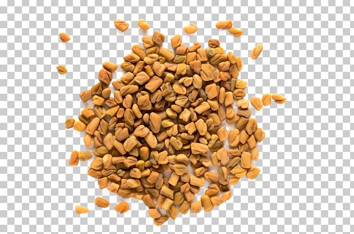 Fenugreek Indian Cuisine Herb Spice Stock Photography PNG, Clipart, Commodity, Coriander, Curry, Fenugreek, Food Free PNG Download