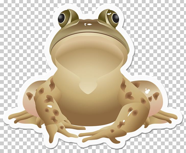 Frog Jumping Contest Southern Brown Tree Frog PNG, Clipart, American Bullfrog, Amphibian, Animals, Brown, Carnivoran Free PNG Download