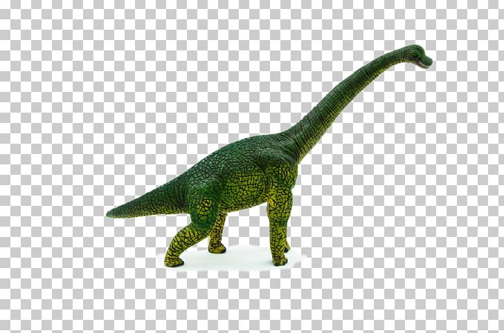 Brachiosaurus Dinosaur Tyrannosaurus Stegosaurus Animal Planet PNG, Clipart, Animal, Animal Figure, Animal Planet, Brachiosaurus, Ceratosaurus Free PNG Download