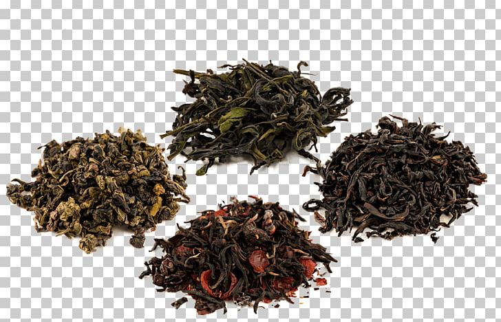 Oolong Dianhong Nilgiri Tea Darjeeling Tea PNG, Clipart, Assam Tea, Bai Mudan, Bancha, Biluochun, Black Tea Free PNG Download