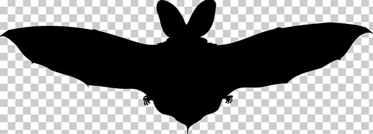 Bat Wing PNG, Clipart, Animal, Animals, Bat, Bat Clipart, Bat Wing Free PNG Download