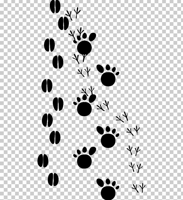 Cat Dog Animal Track Footprint PNG, Clipart, Animal, Animals, Animal Track, Bear, Black Free PNG Download