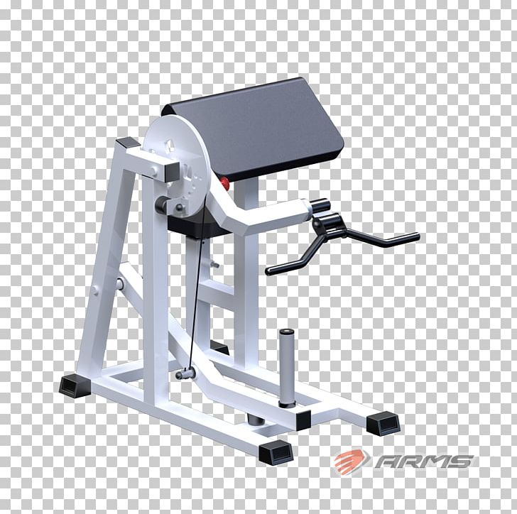 Exercise Machine Physical Fitness Barbell Yaguar-Sport Squat PNG, Clipart, Angle, Barbell, Bench, Biceps, Clean And Press Free PNG Download