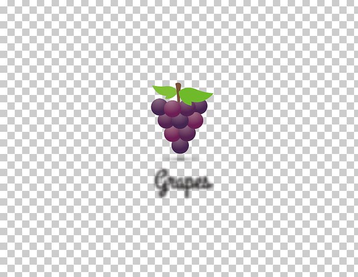 Fruit Grape Icon PNG, Clipart, Black Grapes, Computer Graphics, Download, Euclidean Vector, Fruit Free PNG Download