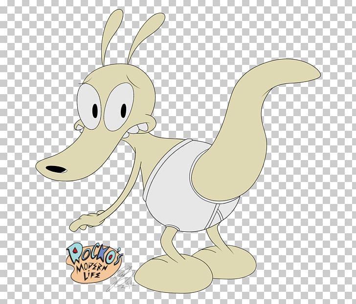 Duck Hare Cygnini Chicken Anatidae PNG, Clipart,  Free PNG Download