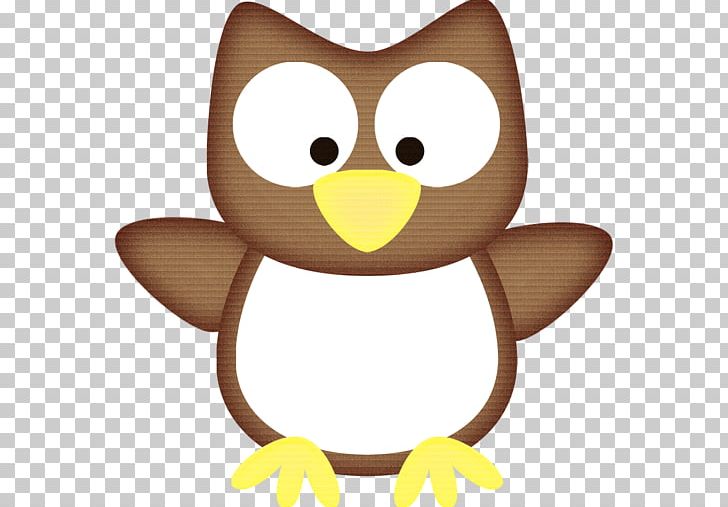 Little Owl Drawing PNG, Clipart, Animals, Animation, Art, Beak, Bird Free PNG Download
