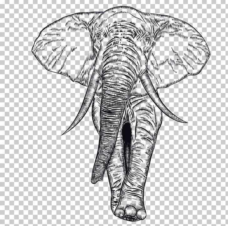 African Elephant Indian Elephant Illustration PNG, Clipart, Animal, Animals, Black, Black Hair, Black White Free PNG Download